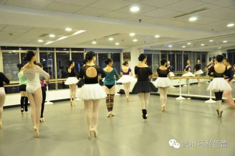 欧氏舞蹈地胶之贵州马丽芭蕾舞学校案例分享