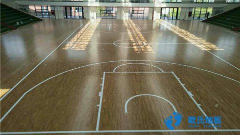 篮球场木地板介绍