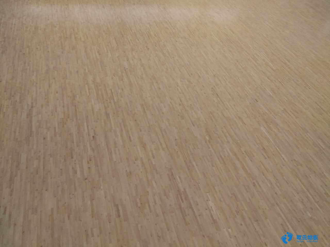 石嘴山星海学校篮球木地板安装