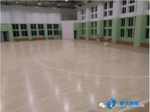 硬木篮球运动木地板 枫木运动木地板价格行情