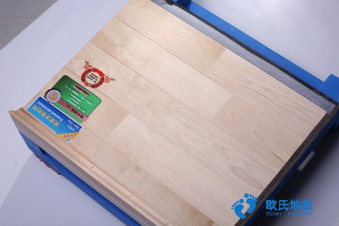 荆州运动馆室内木地板