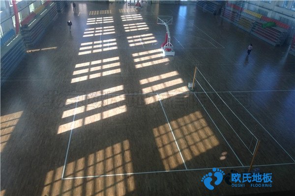 运动体育地板生产厂家