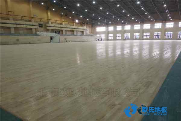 学校篮球场馆地板标准尺寸