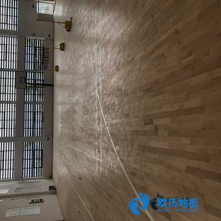 学校篮球馆地板木纹型