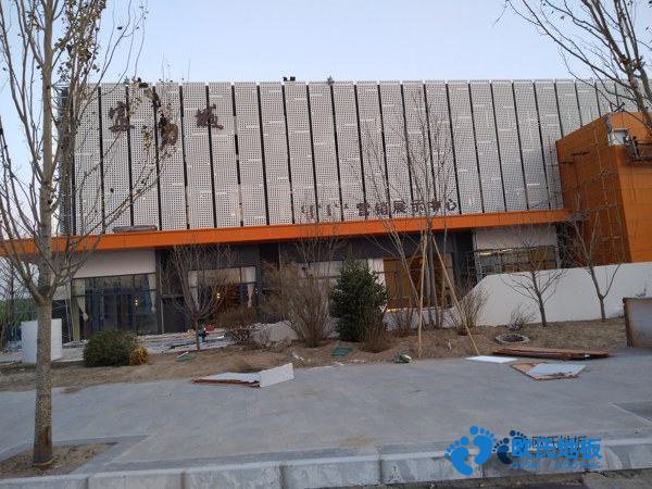 那有体育馆木地板哪个品牌好