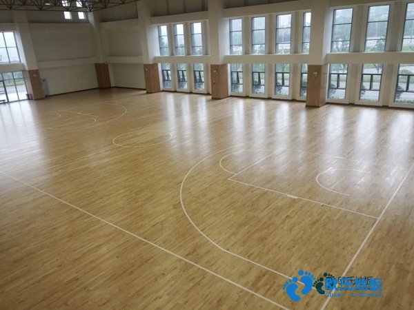 学校篮球场木地板木纹