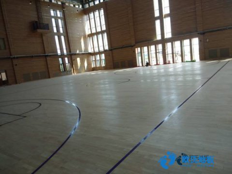 枫木篮球场馆地板维护保养