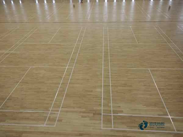 篮球场馆地板画线3