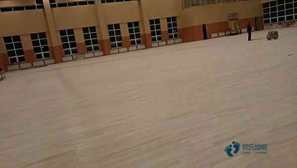 运动体育木地板厂商2
