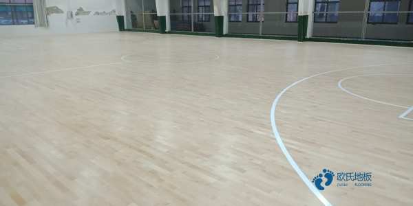 篮球体育木地板网址3