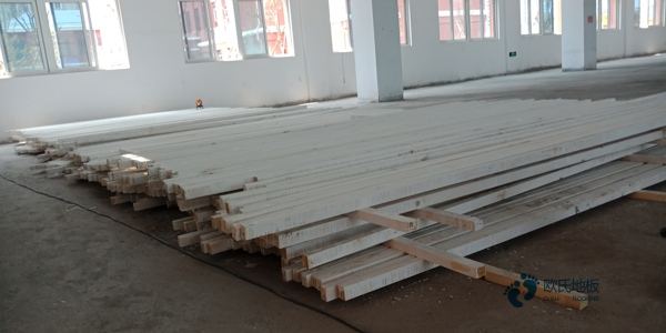 常见的运动型木地板排行1