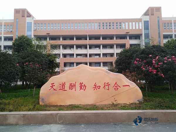 弹性运动场馆木地板排行2