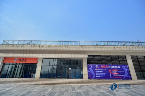 定制篮球运动地板十大品牌