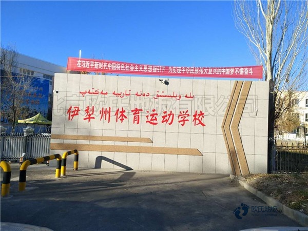 定制运动篮球地板哪个牌子比较好2