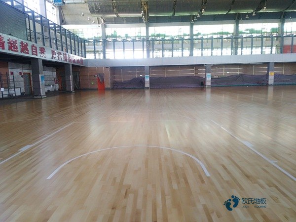学校篮球场地地板标准尺寸3